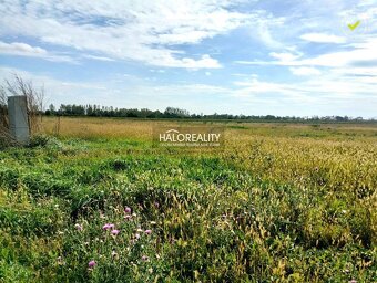 HALO reality - Predaj, pozemok pre rodinný dom 763 m2 Štef - 2