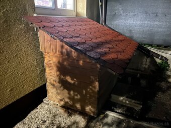 Darujem búdu pre psa - 2