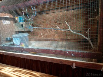 Klietka pre vtáctvo - 2