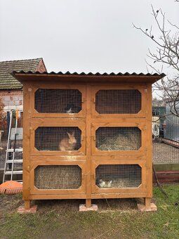 Kralickaren pre zajace - 2