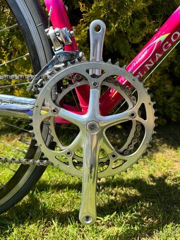 Colnago Tecnos Art Decor - 2