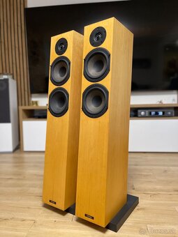 Audio Physic Tempo 3i - 2