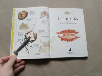 Lastúrniky - 2