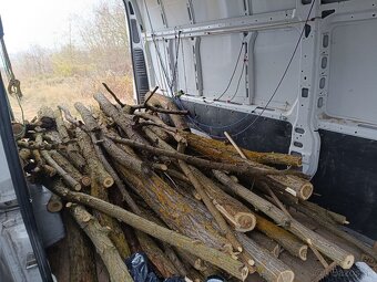 Predám Agátové palivové drevo - 2