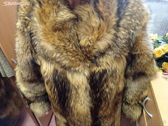 Kožich. Jezerní liška. - 2