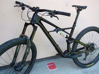 Specialized Enduro S-Works Carbon 29" - 2