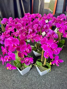 Orchidea umelá 3D - 2