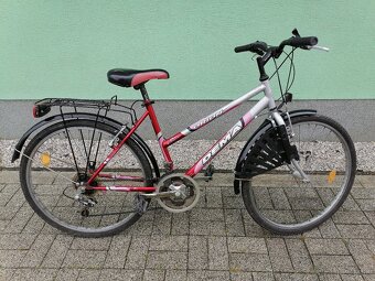 Bicykel Dema - 2