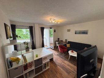 1 IZBOVÝ BYT NA PRENÁJOM - LEVICE - VINOHRADY, ID 561 - 2