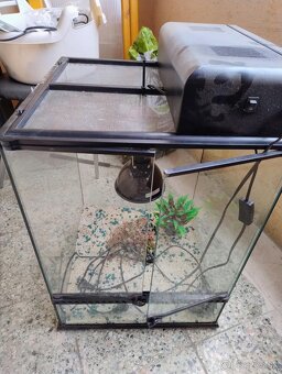 Terárium Exo Terra 45x45x60 - 2