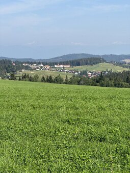 Rekreačné Pozemky s Drevnou Hmotou - 4800m2 Lom nad Rimavic. - 2