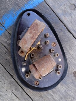 Spinacia skrinka. - 2