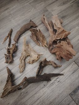 Predám korene len všetky spolu - 2