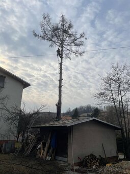 Rizikový vyrub - 2