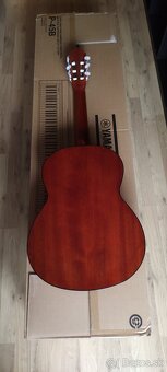 Indonesian Classic Guitar Cort AC100 OP - 2