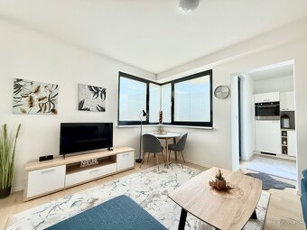 Prenájom 1,5 izbový byt Blumental,Staré mesto - 2
