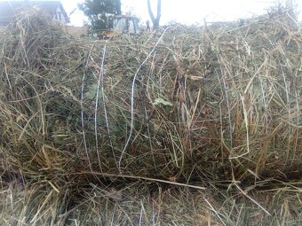 Senaž malé okrúhle balíky - 2