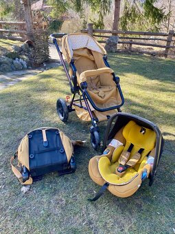 Concord Wanderer 3v1 - 2