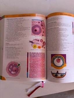 Memorix histológie - 2