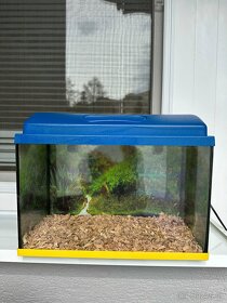 Akvárium na rybicky/ aj ako terarium pre drobné korytnačky - 2