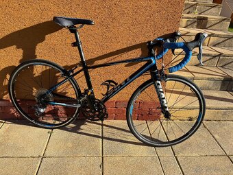 Giant TCR 24” - 2