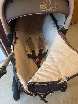 Kocik Concord Wanderer - 2