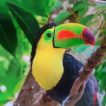 Samsung 55(138cm) smart led tv - 2