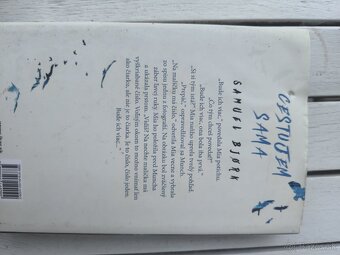 Cestujem sama a iné - 2