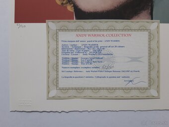 Andy Warhol – Marylin Monroe Red - 2