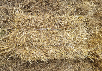 VÝPREDAJ SLAMY – MALÉ BALÍKY – OD 2,50 € / KS - 2