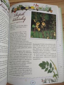 Encyklopedie bylin v češtine - 2