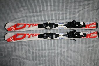 lyže dynamic 100 cm - 2
