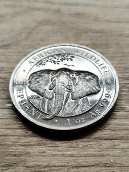 Elephant 2021, 1oz, 999.9 - 2
