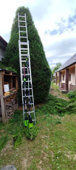 Záhradné práce, rez strih ovocných stromov, okrasných krov - 2