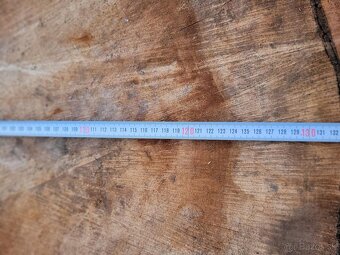 Topoľové drevo, priečny rez z topoľa suche - 2