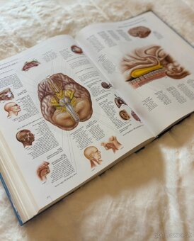 Atlas ľudského tela - 2