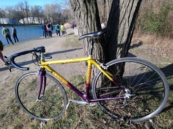 Celokarbon Trek 5500 Lemond cestný tdf kult 450eur -carbo - 2