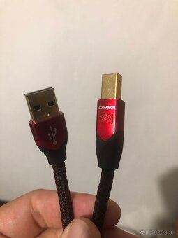 Audioquest cinnamon USB - 2