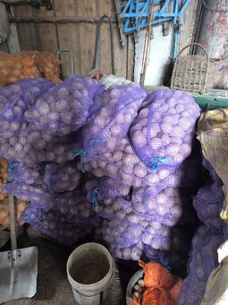 Zemiaky červené - 2