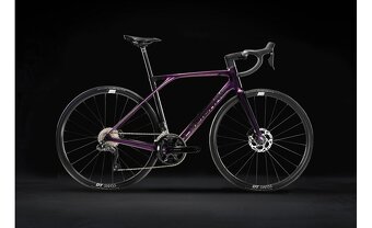 LAPIERRE Xelius SL 5.0 Di2 Luxy Blackberry _ 1 - 2