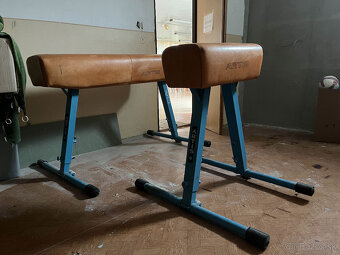 Gymnastická koza a kôň - 2