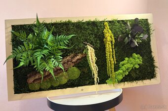 Machový obraz v drevenom ráme - 2