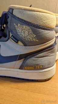 Air Jordan high element × Goretex - 2