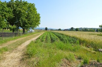 Investičný pozemok - Beluša Podhorie - 2