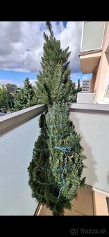 Vianocny stromcek - 2