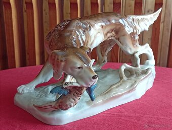 Royal dux - polovnicky pes - 2