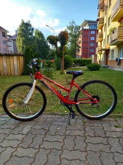 Bicykel Leader Fox Buffalo girl 24" - 2