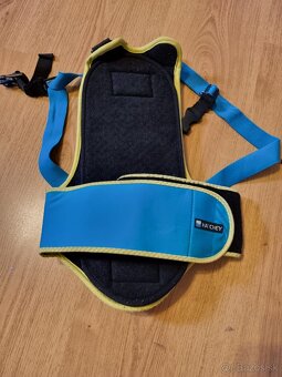 Detská korytnačka - 2