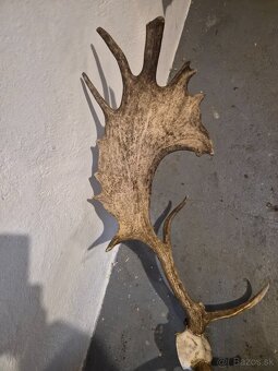 Trofe,parohy,zhody - 2