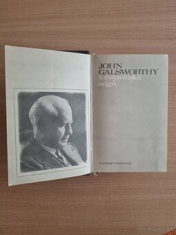 Kniha Sága rodu Forsytovcov - 2